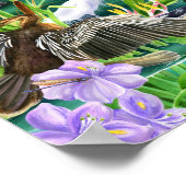 Wetland Wonders Poster (Hoek)