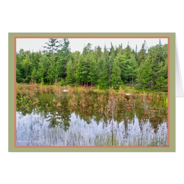 Wetlands (Voorkant Horizontaal)