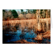 Wetlands (Voorkant Horizontaal)