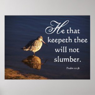 Wetlands Bird God zal je laten afdrukken Poster