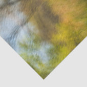 Wetlands Boardwalk Scene Vroege Herfst Tissuepapier (Detail)