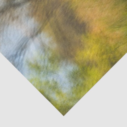 Wetlands Boardwalk Scene Vroege Herfst Tissuepapier (Detail)