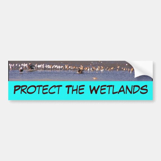 Wetlands Bumpersticker (Voorkant)