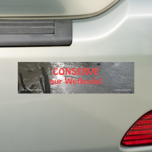 Wetlands bumpersticker (Op auto)