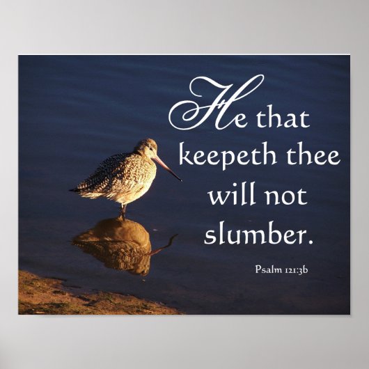 Wetlands Godmet Bird zal je laten afdrukken Poster (Voorkant)