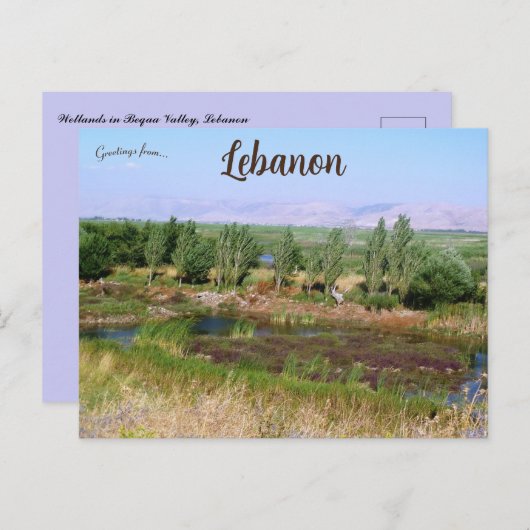 Wetlands in Beqaa Valley Libanon Briefkaart (Voorkant / Achterkant)