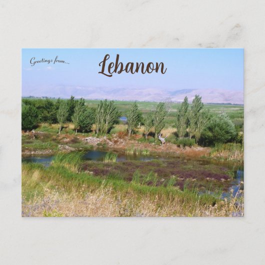 Wetlands in Beqaa Valley Libanon Briefkaart (Voorkant)