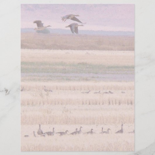 Wetlands Migration Letterhead (Voorkant)