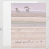 Wetlands Migration Letterhead (Voorkant / Achterkant)