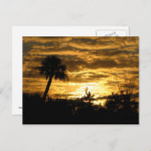 Wetlands Morning II Briefkaart (Voorkant / Achterkant)