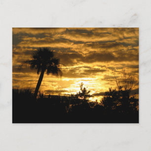 Wetlands Morning II Briefkaart