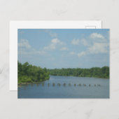 Wetlands Poster Briefkaart (Voorkant / Achterkant)