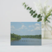 Wetlands Poster Briefkaart (Staand voorkant)