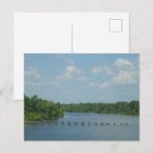 Wetlands Poster Briefkaart (Voorkant / Achterkant)