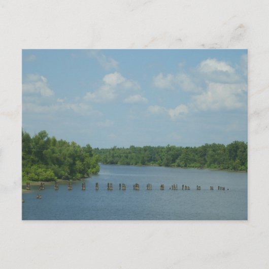 Wetlands Poster Briefkaart (Voorkant)