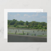 Wetlands Poster Briefkaart (Voorkant / Achterkant)