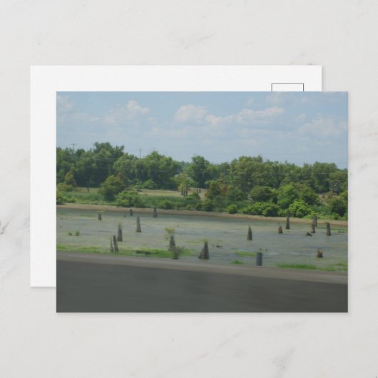 Wetlands Poster Briefkaart (Voorkant / Achterkant)