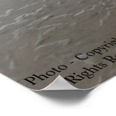 Wetlands-poster Poster (Hoek)