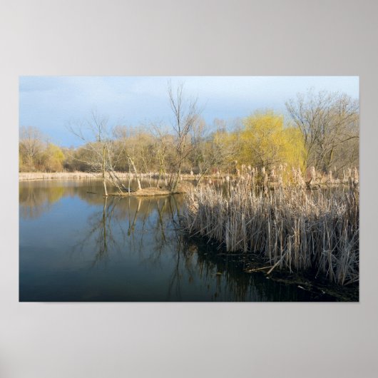 Wetlands Reeds en Bomen in West-Saint-Paul Poster (Voorkant)