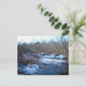 Wetlandvijvers in de winter briefkaart (Staand voorkant)