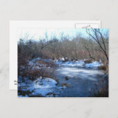 Wetlandvijvers in de winter briefkaart (Voorkant / Achterkant)