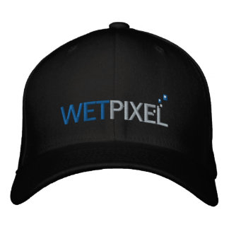 Wetpixel Pet #1