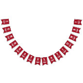 Wetschool-Afstuderen Vlaggetjes (Alle)