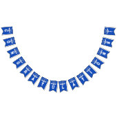 Wetschool-Afstuderen Vlaggetjes (Alle)