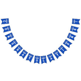 Wetschool-Afstuderen Vlaggetjes