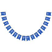 Wetschool-Afstuderen Vlaggetjes (Alle)