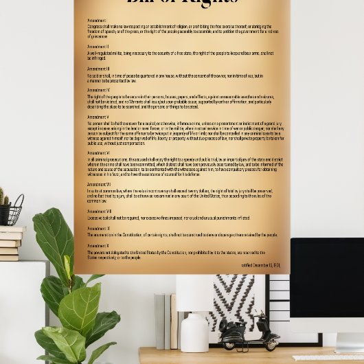 Wetsontwerp VS-grondwet Poster (Thuiskantoor)