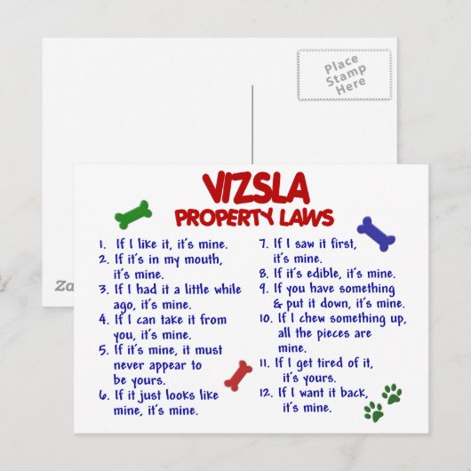 Wetten 2 van het Bezit VIZSLA Briefkaart (Voorkant / Achterkant)