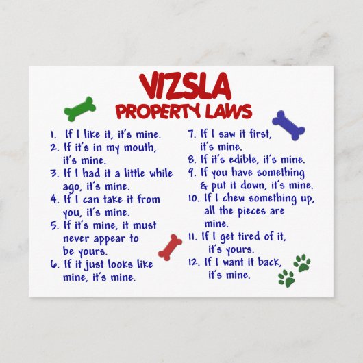 Wetten 2 van het Bezit VIZSLA Briefkaart (Voorkant)