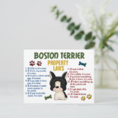 Wetten 4 van het Bezit van Boston Terrier Briefkaart (Staand voorkant)