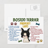 Wetten 4 van het Bezit van Boston Terrier Briefkaart (Voorkant / Achterkant)