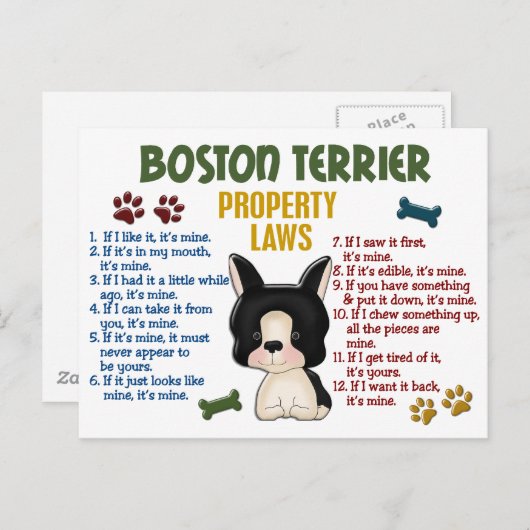 Wetten 4 van het Bezit van Boston Terrier Briefkaart (Voorkant / Achterkant)