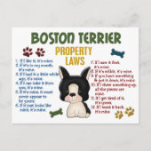 Wetten 4 van het Bezit van Boston Terrier Briefkaart (Voorkant)