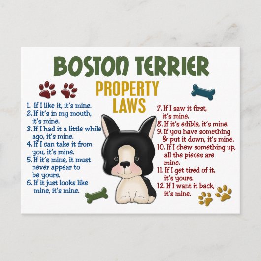 Wetten 4 van het Bezit van Boston Terrier Briefkaart (Voorkant)