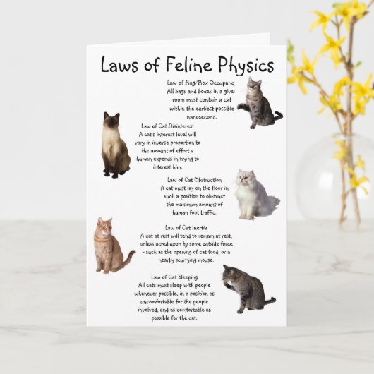 Wetten van de Feline Physics Kaart (Gele Bloem)