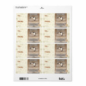 Wetten van Kitteh Probability Etiket (Full Sheet)