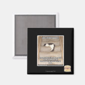 Wetten van Kitteh Probability Magneet (Voorkant / Achterkant)