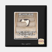 Wetten van Kitteh Probability Magneet (Voorkant)