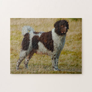 Wetterhoun Dog Jigsaws. Legpuzzel