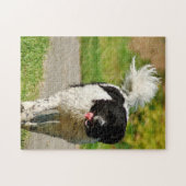 Wetterhoun hond legpuzzels. legpuzzel (Horizontaal)