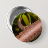Wever-antilopen op een hout ronde button 7,6 cm (Voorkant /achterkant)