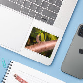 Wever-antilopen op een hout sticker (Laptop met iPhone)