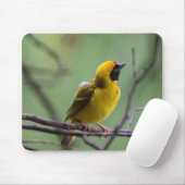 Wever, vogel, gele vogel muismat (Met muis)