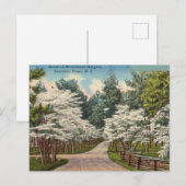 Weymouth Heights, Southern Pines, North Carolina Briefkaart (Voorkant / Achterkant)