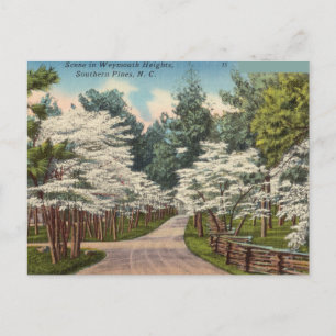 Weymouth Heights, Southern Pines, North Carolina Briefkaart