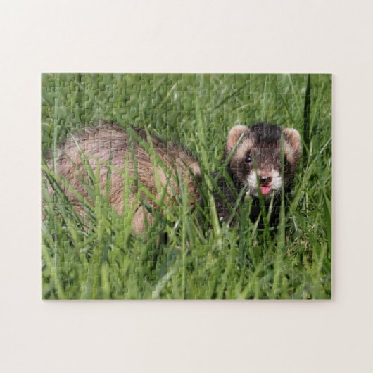 Wezel Tuinpuzzel - Sable Ferret Legpuzzel (Horizontaal)